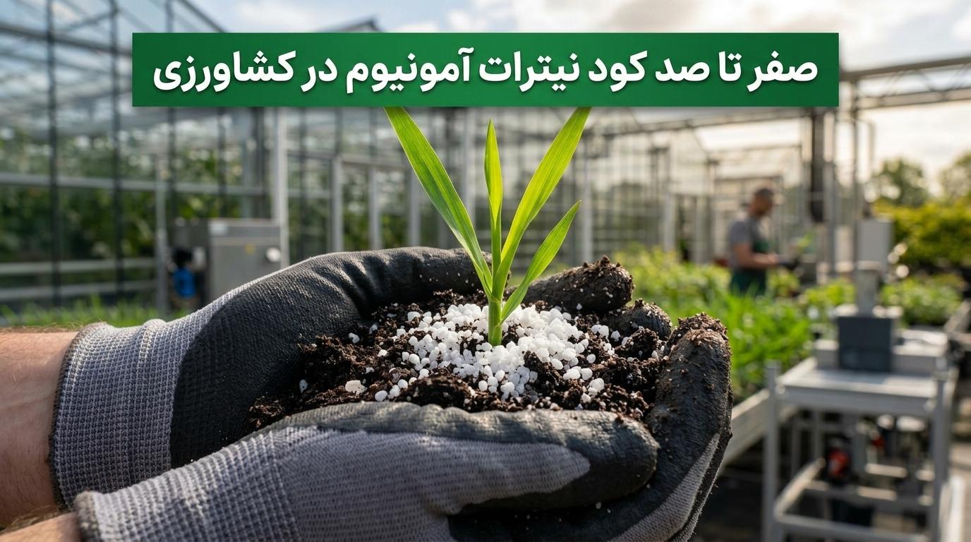 صفر تا صد کود نیترات آمونیوم در کشاورزی صفر تا صد کود نیترات آمونیوم در کشاورزی