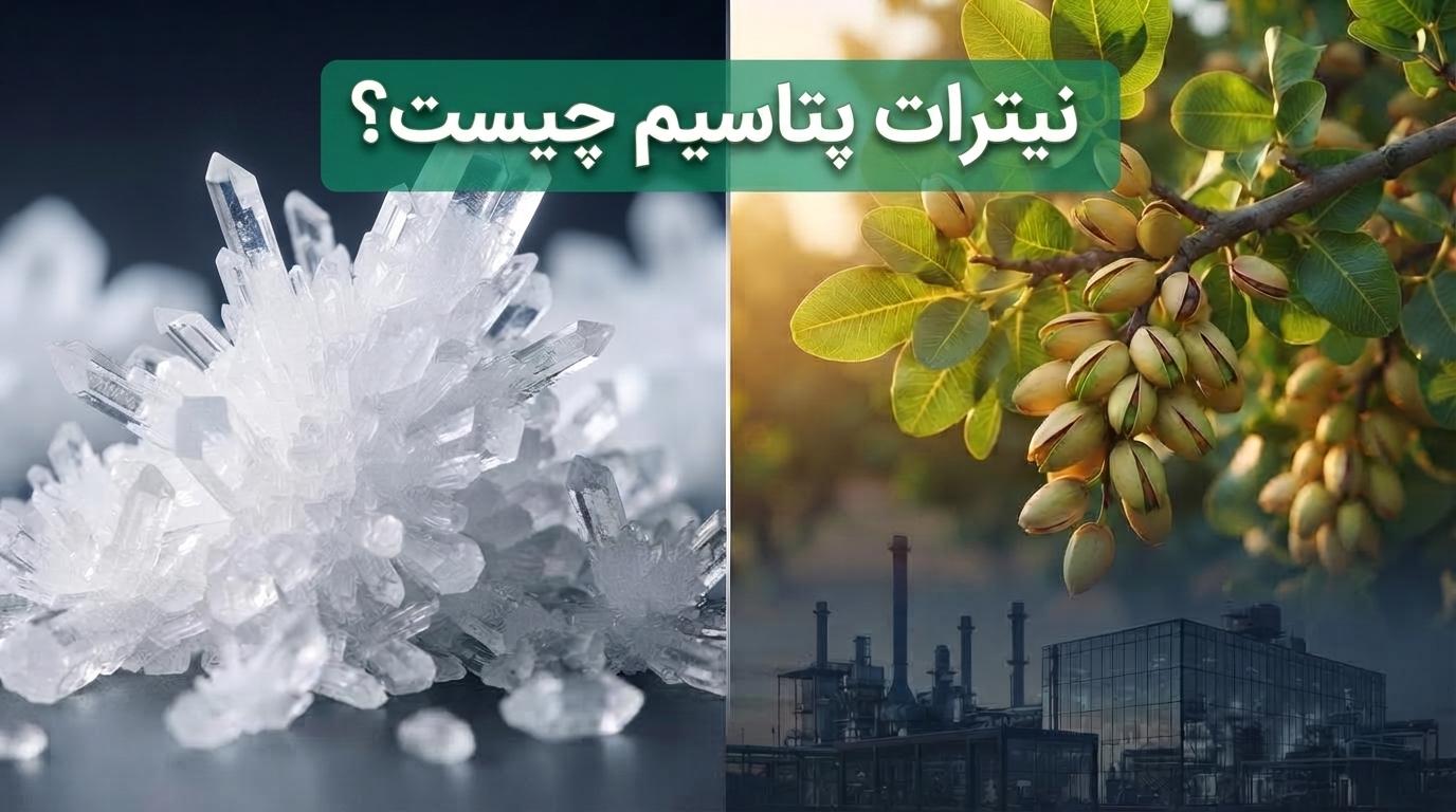 نیترات پتاسیم چیست؟